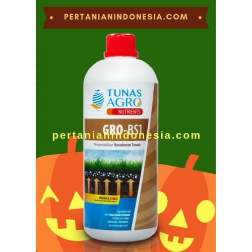 Jual Pupuk Organik Gro Bs Harga Murah Pertanian Indonesia